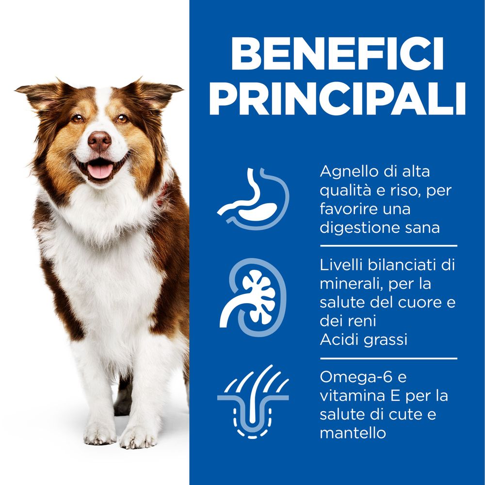 Hill's Science Plan - Hill's Science Plan Medium Mature Adult 7+ Alimento per Cani con Agnello e Riso - Animalmania Store