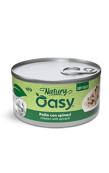 Oasy - Oasy Gatto Natury Latt.150G Jelly - Animalmania Store