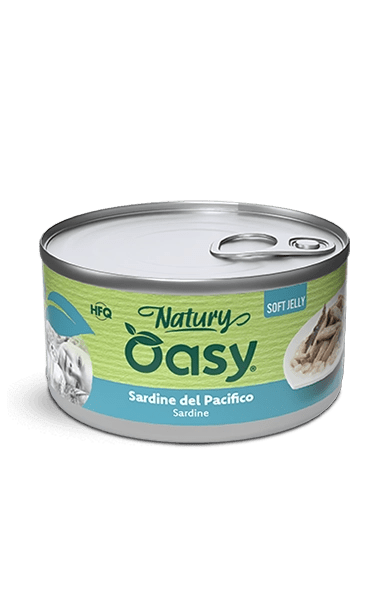 Oasy - Oasy Gatto Natury Latt.150G Jelly - Animalmania Store