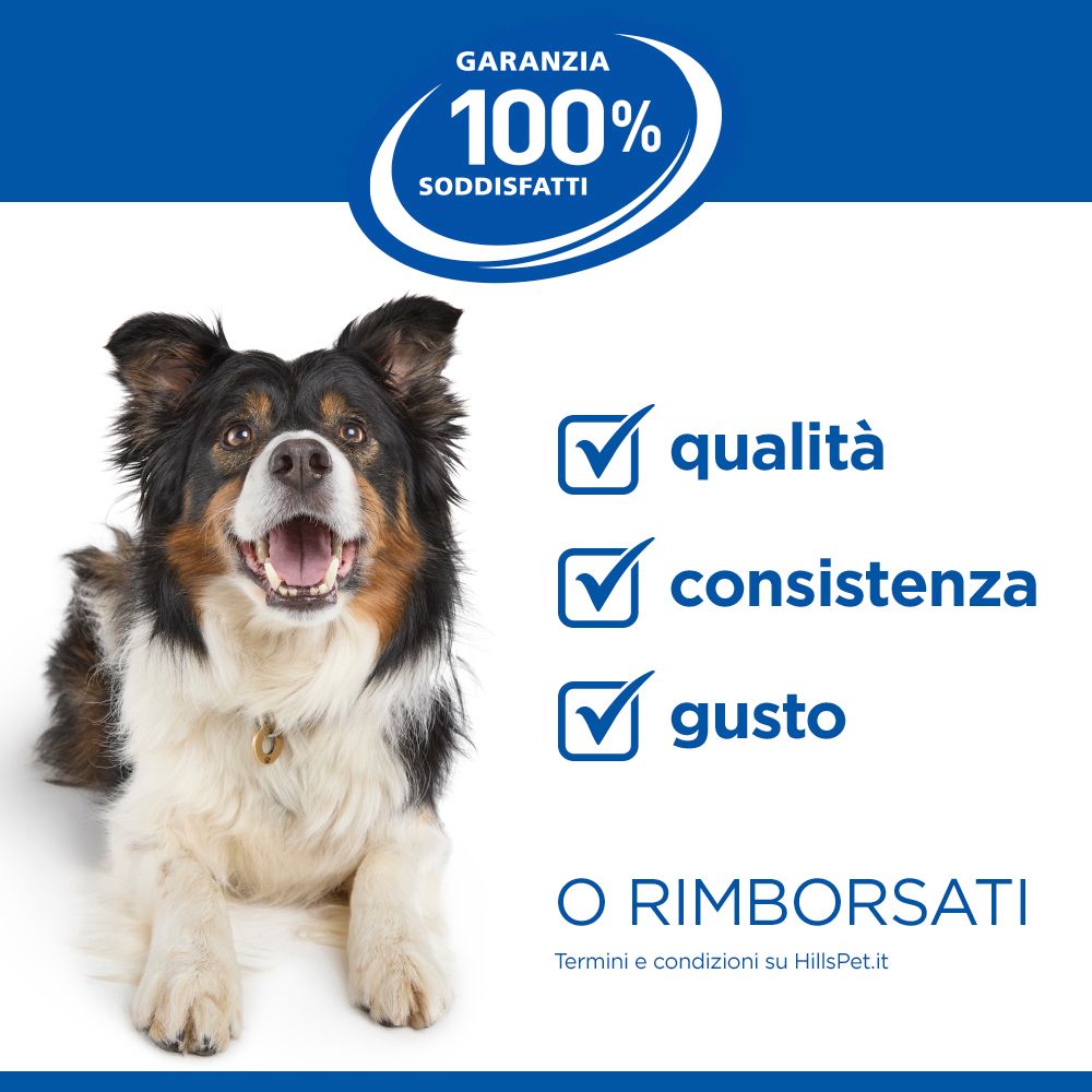 HILL'S SCIENCE PLAN Mature Adult Medium Alimento secco per cani al pollo - 14kg