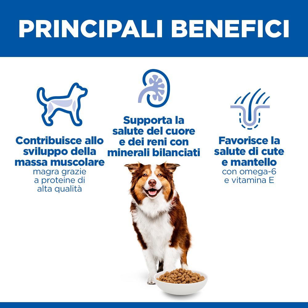 HILL'S SCIENCE PLAN Mature Adult Medium Alimento secco per cani al pollo - 14kg