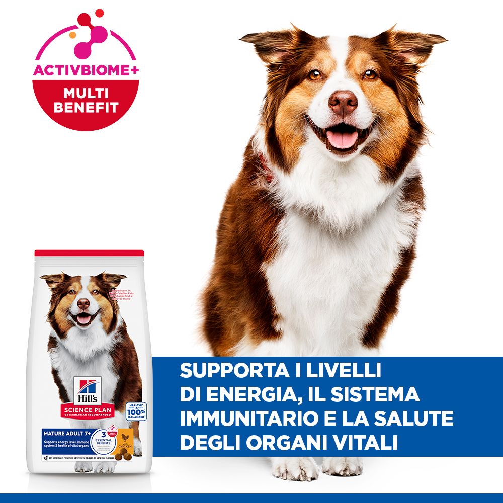 HILL'S SCIENCE PLAN Mature Adult Medium Alimento secco per cani al pollo - 14kg