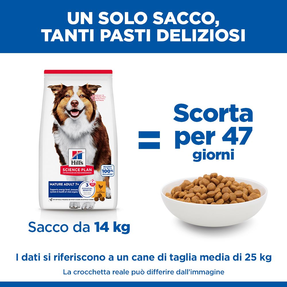 HILL'S SCIENCE PLAN Mature Adult Medium Alimento secco per cani al pollo - 14kg