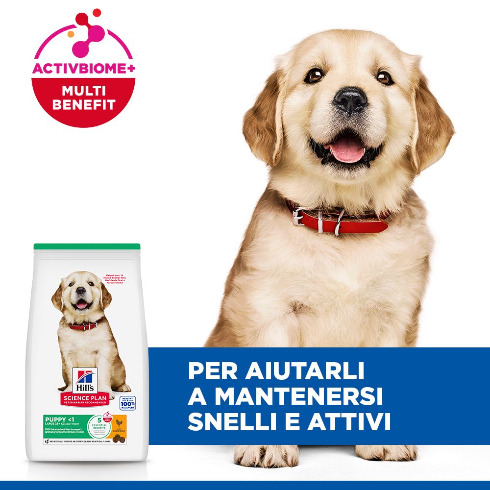 HILL'S SCIENCE PLAN Puppy Large Breed Alimento per cuccioli secco per cani al pollo - 14,5kg