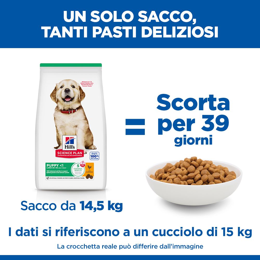 HILL'S SCIENCE PLAN Puppy Large Breed Alimento per cuccioli secco per cani al pollo - 14,5kg