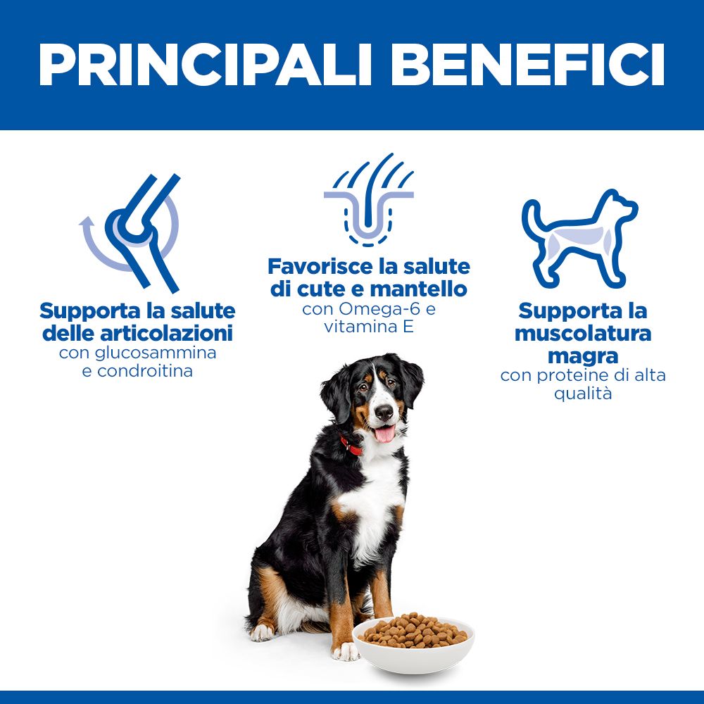 HILL'S SCIENCE PLAN Adult Large Breed Alimento secco per cani al pollo - 14kg