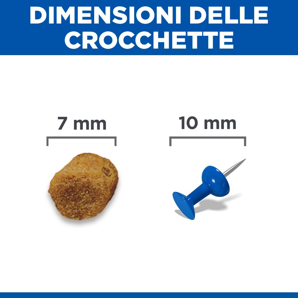 Hill's Science Plan Sterilised Cat Adult Alimento per gatti secco con salmone 10 kg Crocchette