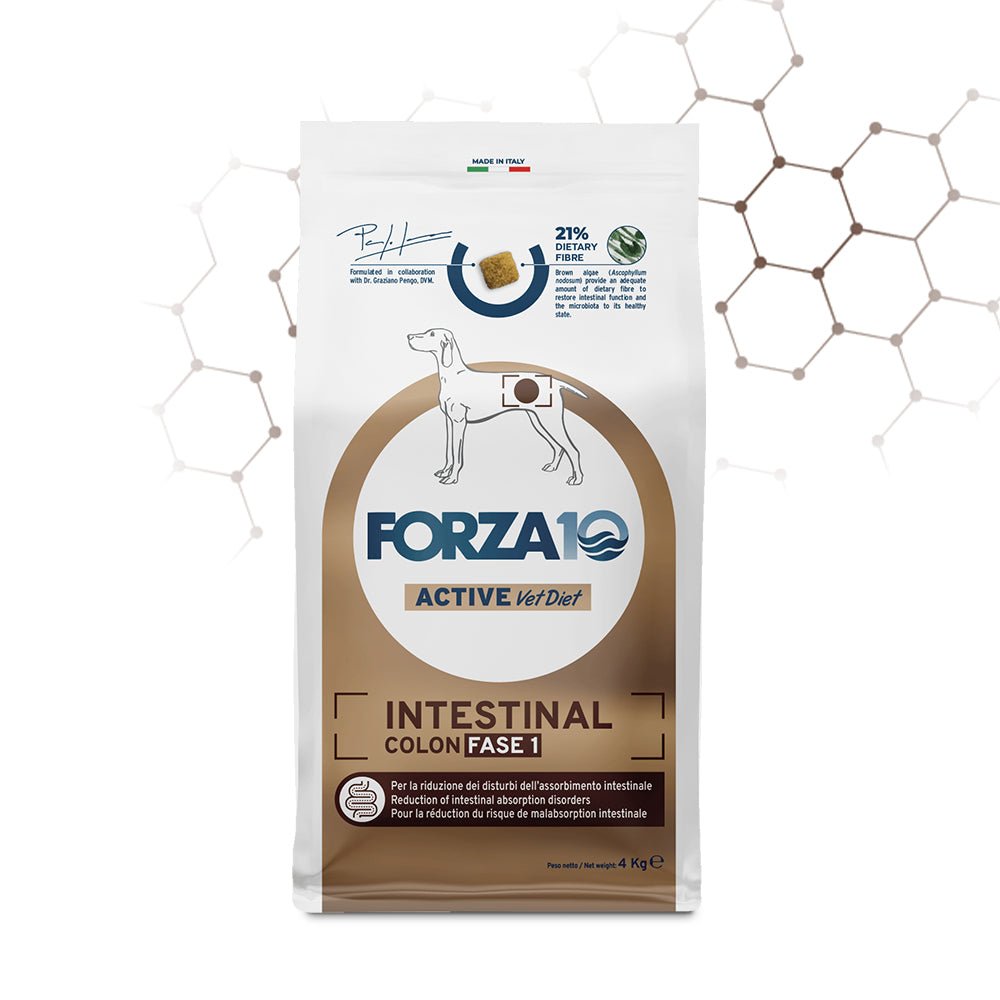Forza10 - Intestinal Colon Fase 1 Per Cani - Animalmania Store