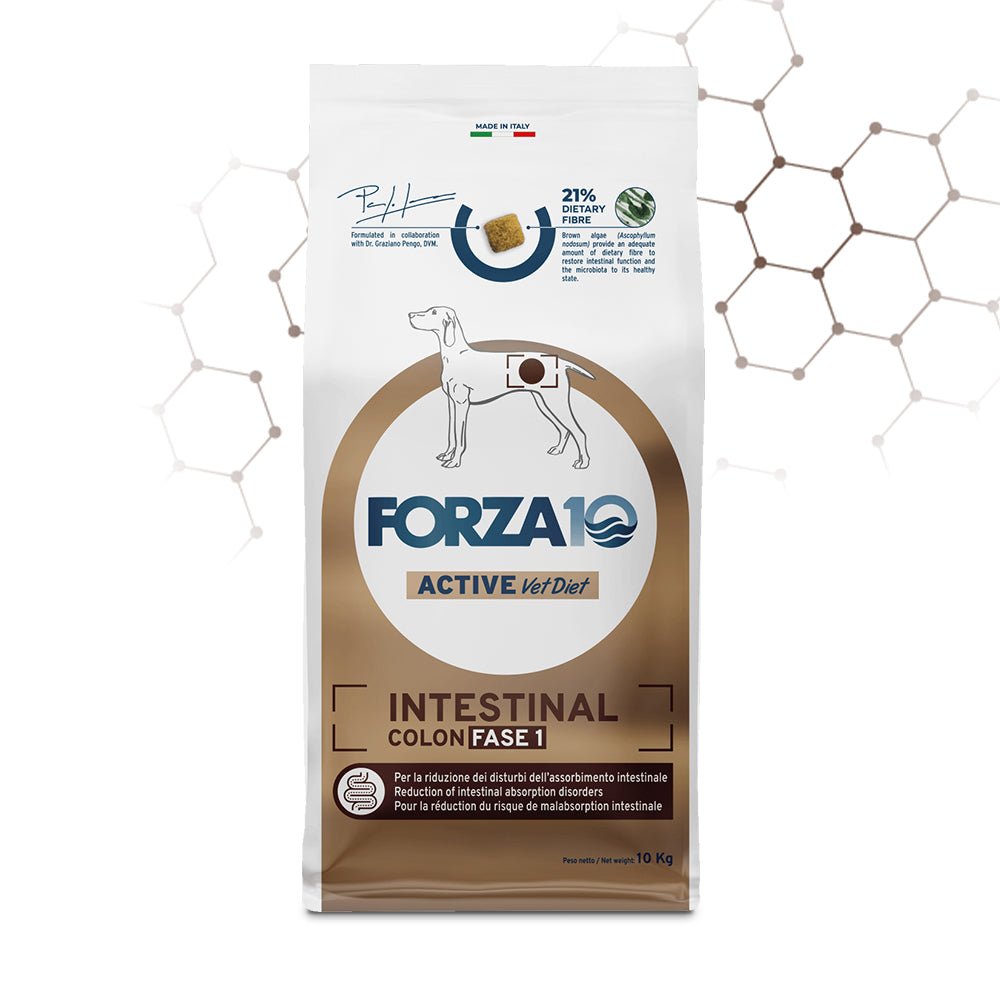 Forza10 - Intestinal Colon Fase 1 Per Cani - Animalmania Store