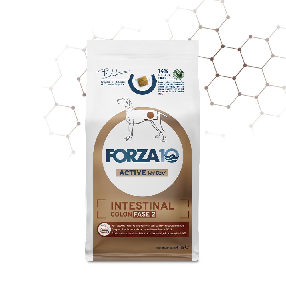 Forza10 - Intestinal Colon Fase 2 Per Cani - Animalmania Store