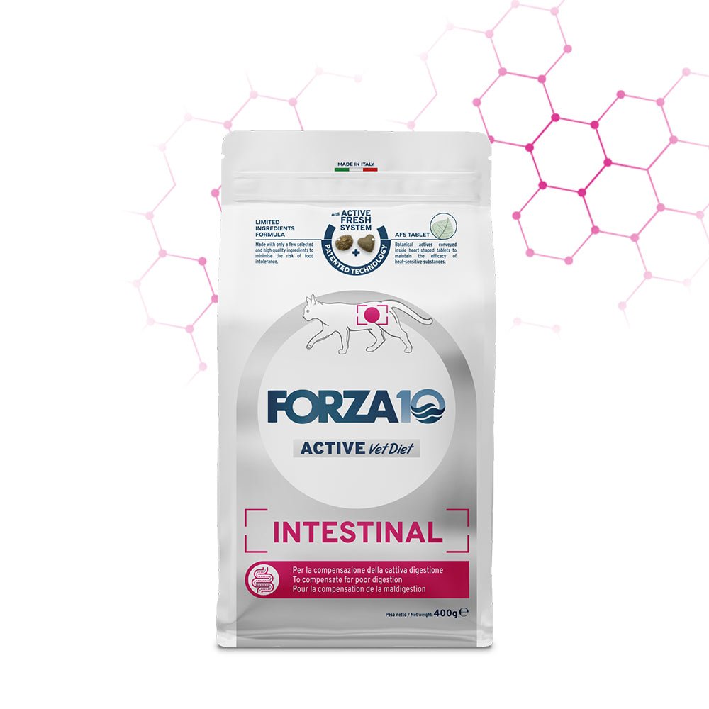 Forza10 - Forza 10 Intestinal Active - Animalmania Store