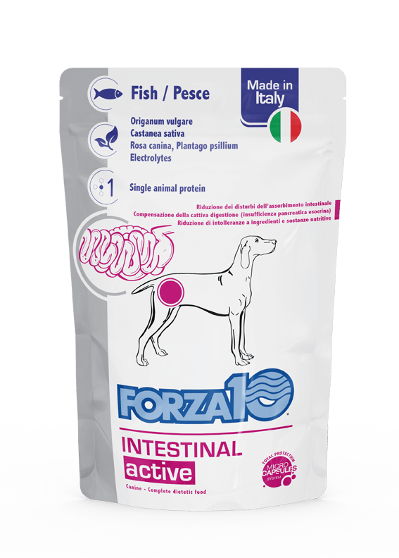 Forza10 - Forza 10 Intestinal Actiwet 100G X 12 - Animalmania Store