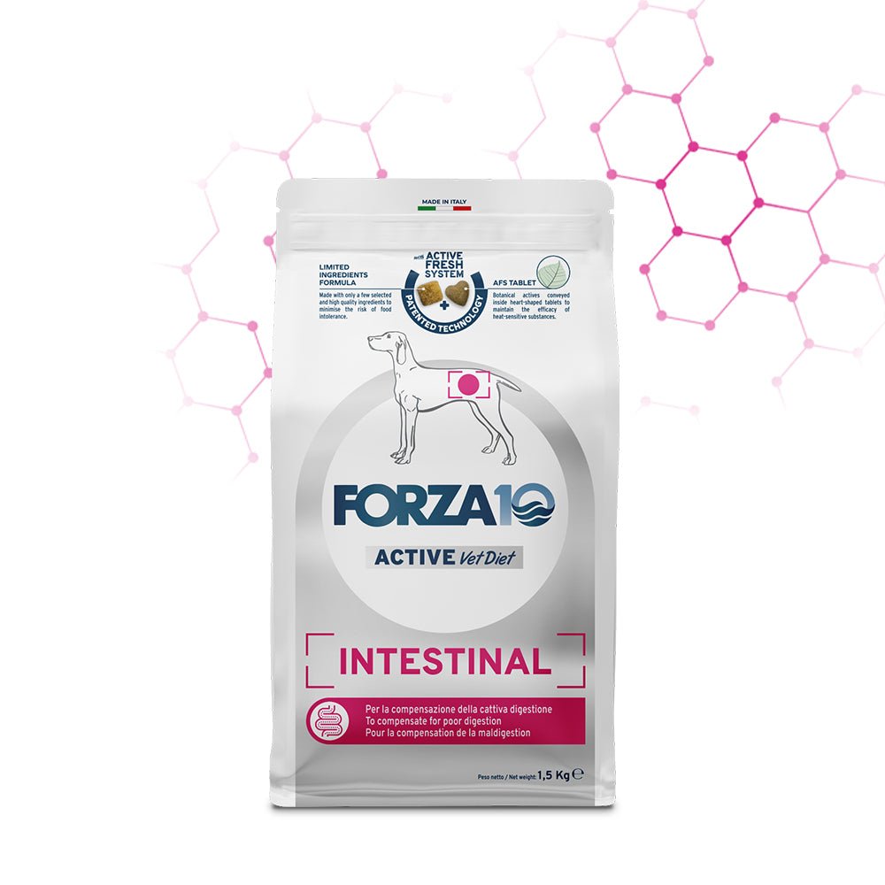 Forza10 - Forza10 Active Dog Intestinal - Animalmania Store
