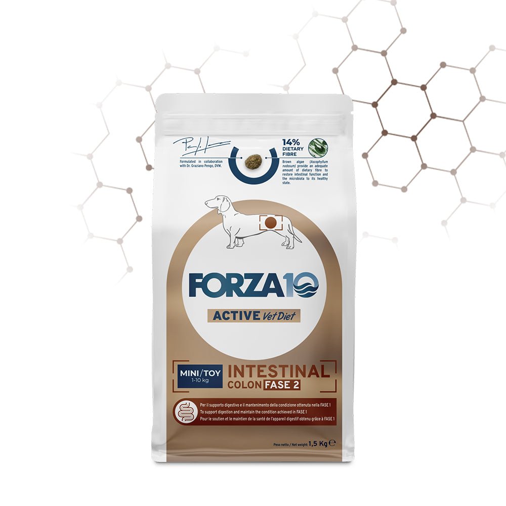 Forza10 - Forza 10 Intestinal Colon Fase Ii Mini/Toy - Animalmania Store