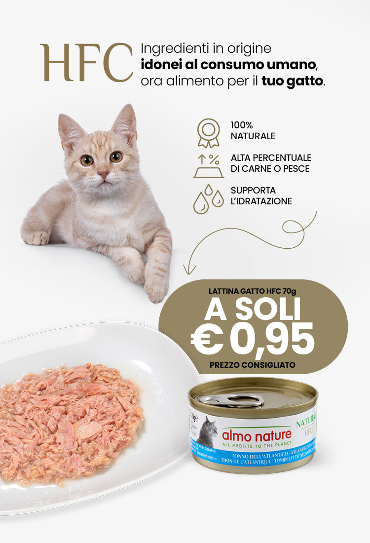 Animal Mania-Promo-Lattina Gatto