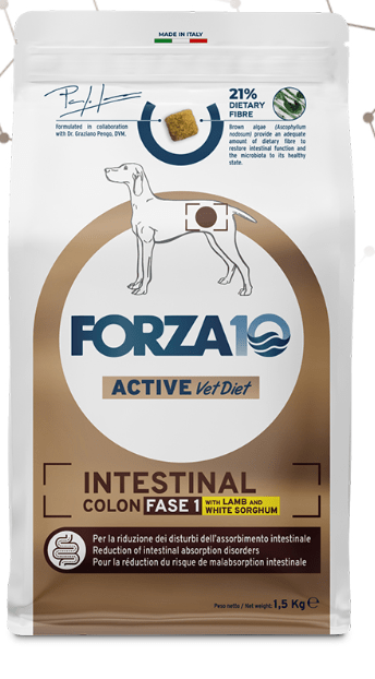 Forza10 - Intestinal Colon Fase 1 Per Cani Agnello e Sorgo - Animalmania Store