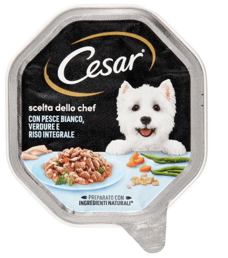 Cesar - Cesar Cibo Umido per Cani Vaschetta 150gr - Animalmania Store