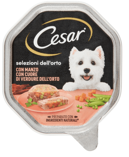 Cesar - Cesar Cibo Umido per Cani Vaschetta 150gr - Animalmania Store