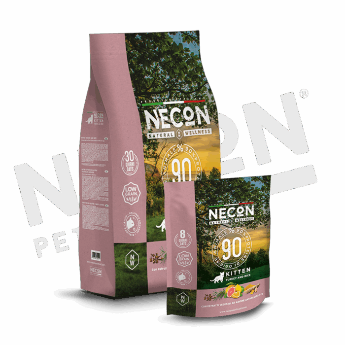 Necon Nw Cat Kitten Tacchino E Riso