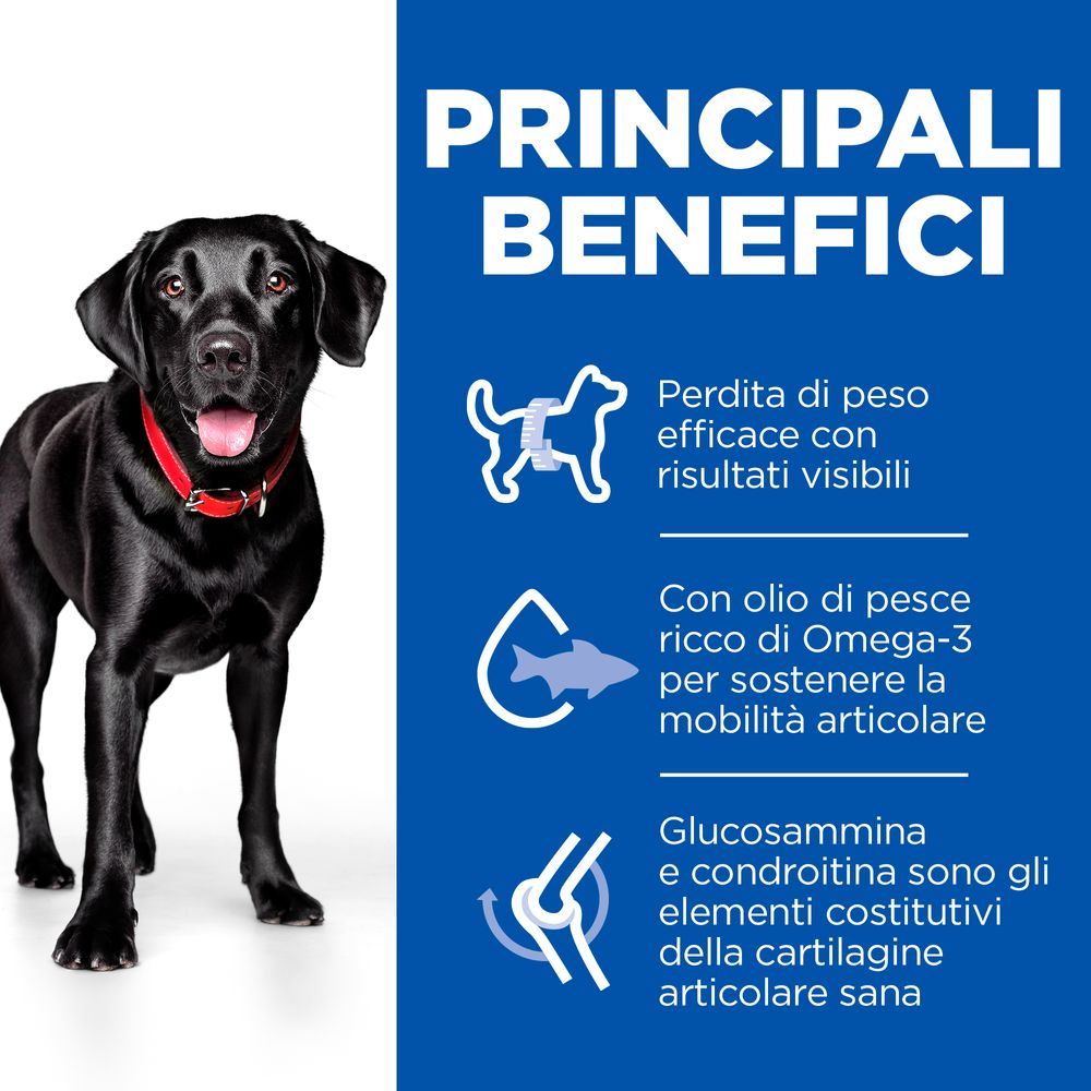 Hill's Science Plan - Hill's Science Plan PERFECT WEIGHT & ACTIVE MOBILITY LARGE BREED ADULT ALIMENTO PER CANI con POLLO - Animalmania Store