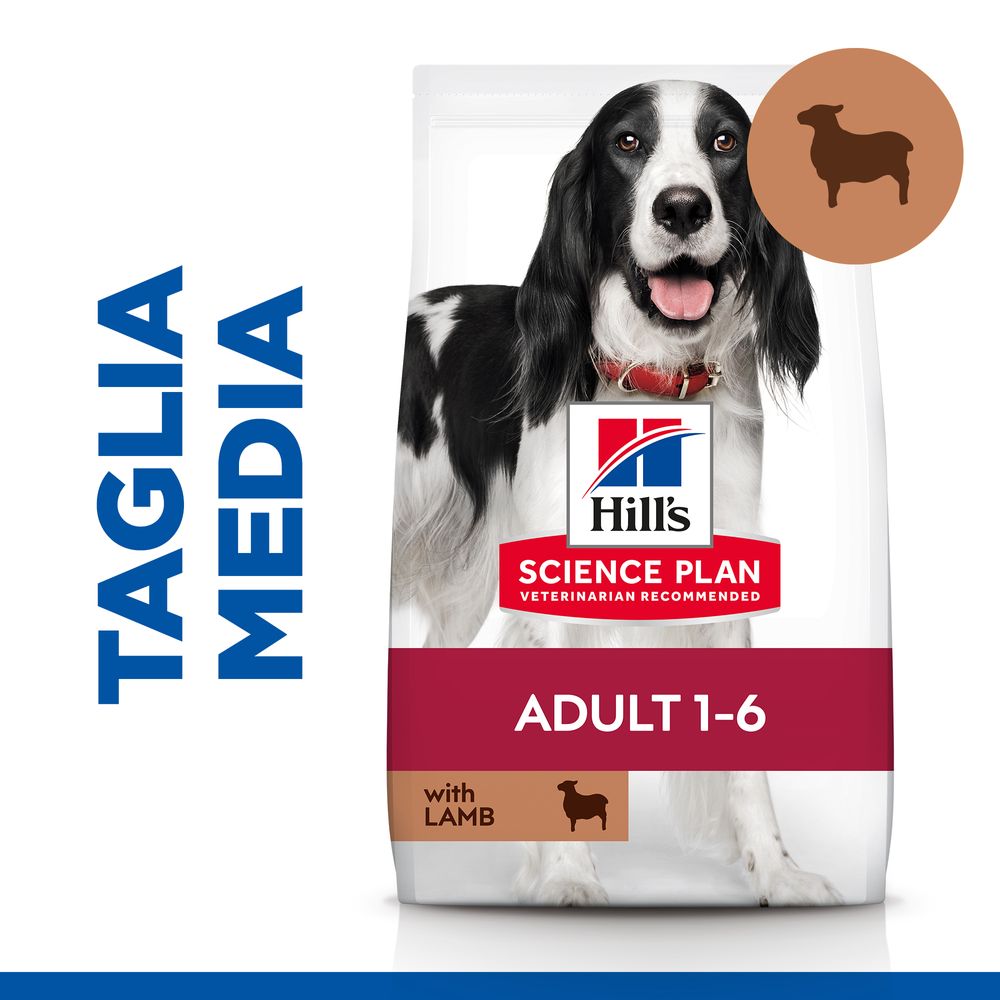 Hill's Science Plan - Hill's Science Plan Medium Adult Alimento per Cani con Agnello e Riso - Animalmania Store