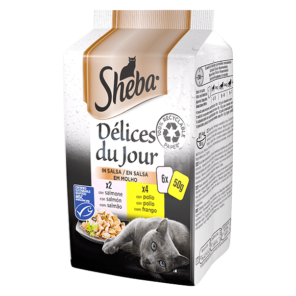 Sheba - Sheba® Délices Du Jour In Salsa 6X50G - Animalmania Store