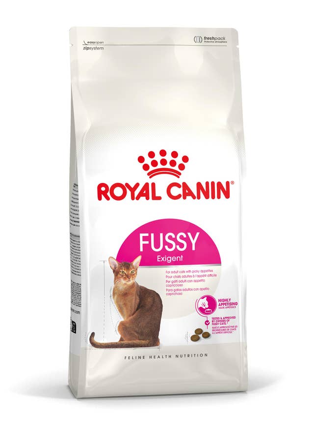 Royal Gatto Fussy