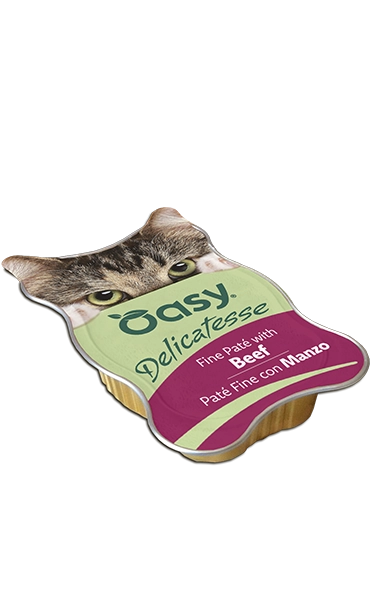 Oasy Cat Delicatesse Paté Fine 85G Manzo