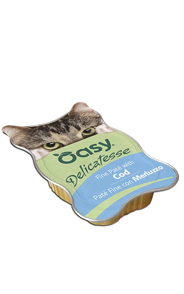 Oasy Cat Delicatesse Paté Fine 85G Merluzzo