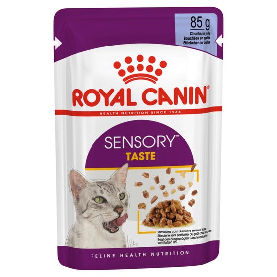Royal Canin Sensory Taste Jelly Wet Cat Food 85G