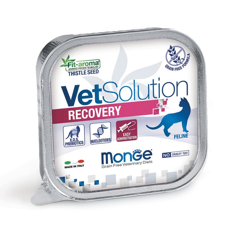 Monge - Monge Vet Solution Recovery Grain Free Gatto 100 Gr - Animalmania Store
