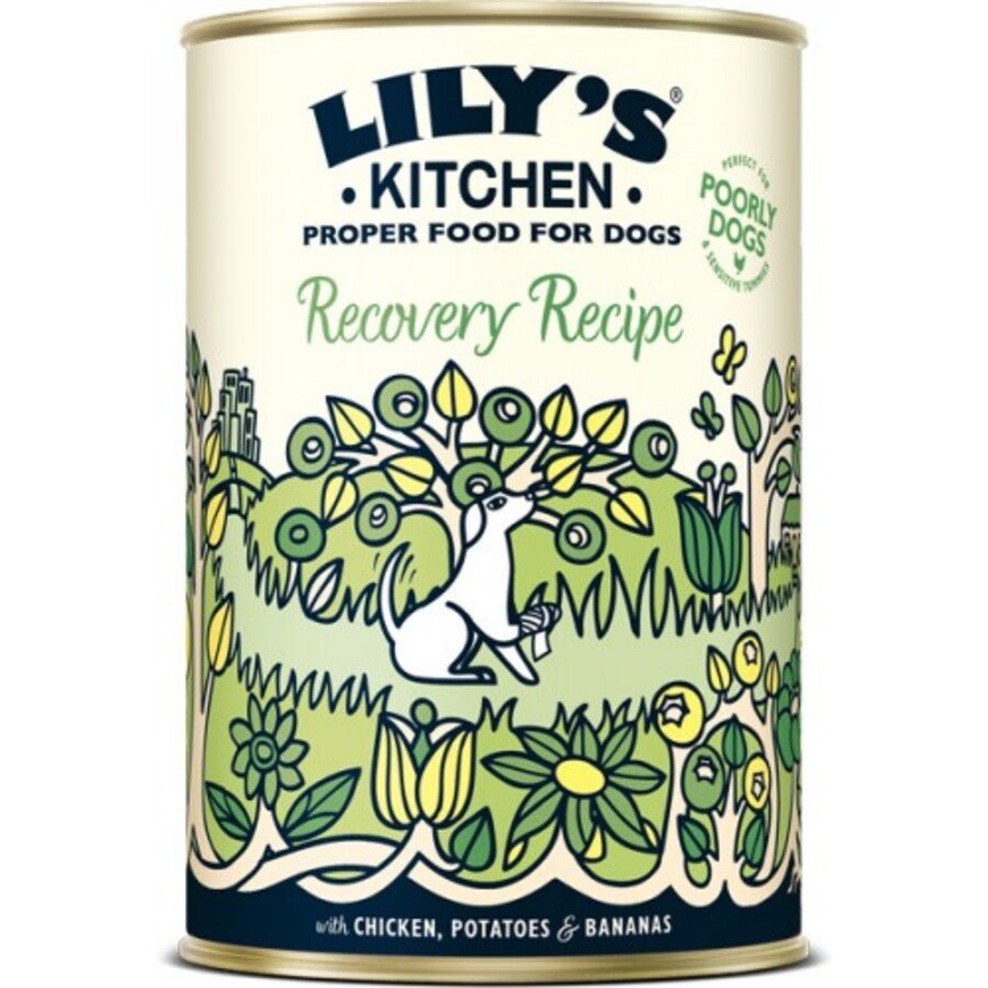 Lily's Kitchen - Lily'S Kitchen Cibo Per Cani Lattina 400Gr - Animalmania Store