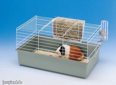 Ferplast - Gabbia per roditori/Conigli Cavia 60 - Animalmania Store