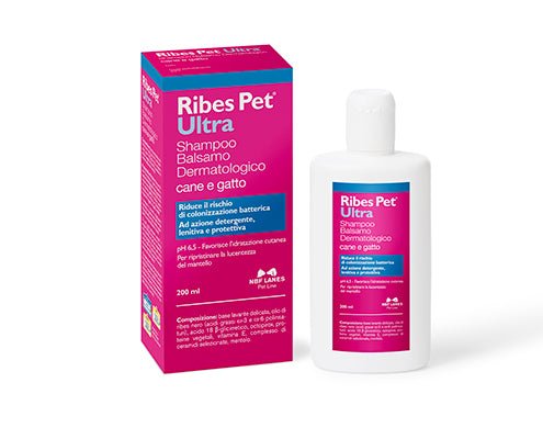 NBF - Nbf Ribes Pet Ultra Cane E Gatto Shampoo Balsamo Dermatologico 200Ml - Animalmania Store