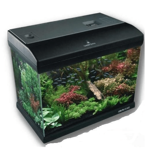 Mirabello - Acquario Mirabello - Animalmania Store