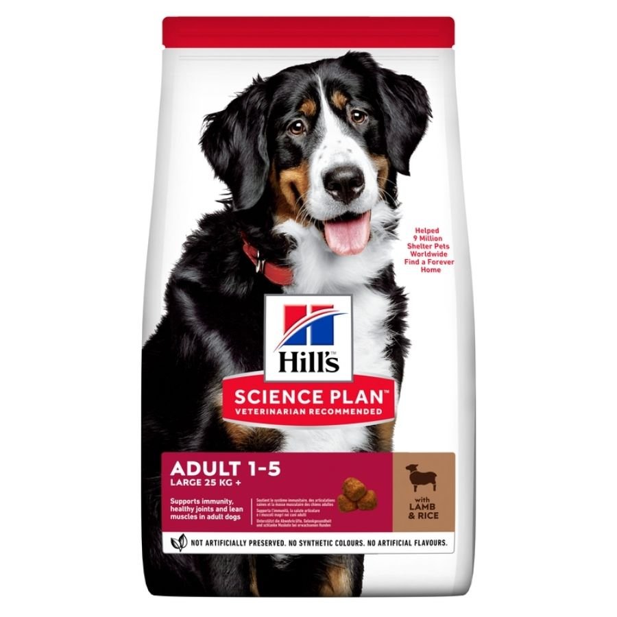 Hill's Science Plan - Hills Cane Large Breed Adult Agnello E Riso 12Kg - Animalmania Store