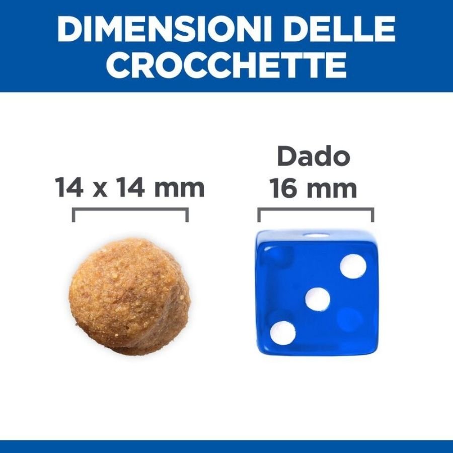 Hill's Science Plan - Hills Cane Large Breed Adult Agnello E Riso 12Kg - Animalmania Store