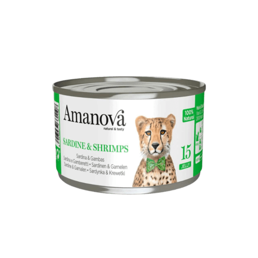 Amanova - Amanova Cat Jelly 70gr - Animalmania Store