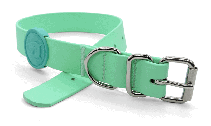 Morso - Collare Waterproof Caribbean Green per Cani - Animalmania Store