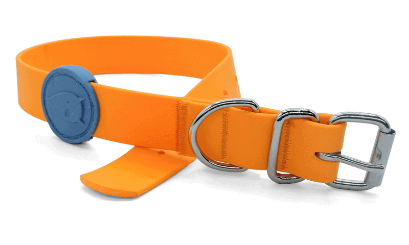 Morso - Collare Waterproof Orange per Cani - Animalmania Store