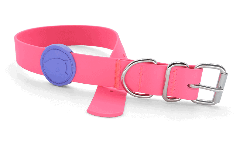Morso - Collare Waterproof Passion Pink per Cani - Animalmania Store