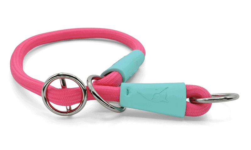 Morso - Collare Da Addestramento Soft Touch Fuchsia per Cani - Animalmania Store