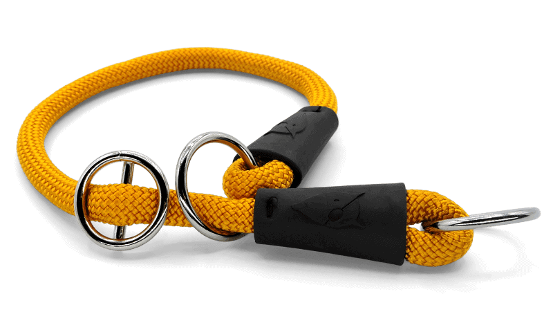 Morso - Collare Da Addestramento Regular Touch Gold per Cani - Animalmania Store