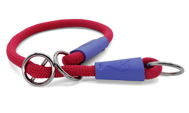 Morso - Collare Da Addestramento Regular Touch Red Velvet per Cani - Animalmania Store