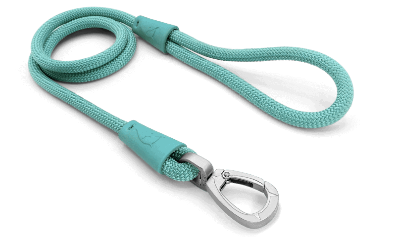 Corda Regular Touch Aquamarine per Cani