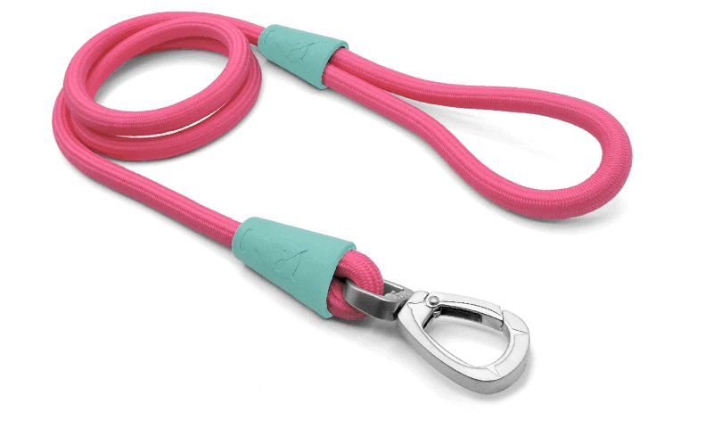 Morso - Corda Fuchsia Tu per Cani - Animalmania Store