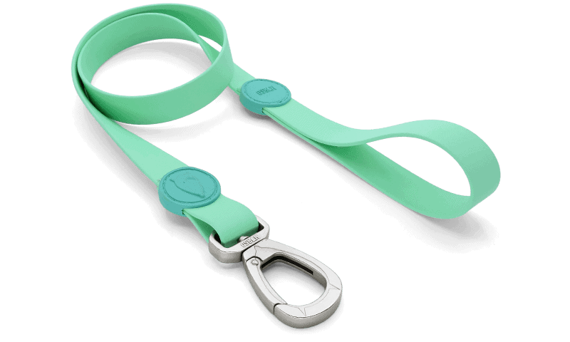 Morso - Guinzaglio Waterproof Caribbean Green per Cani - Animalmania Store