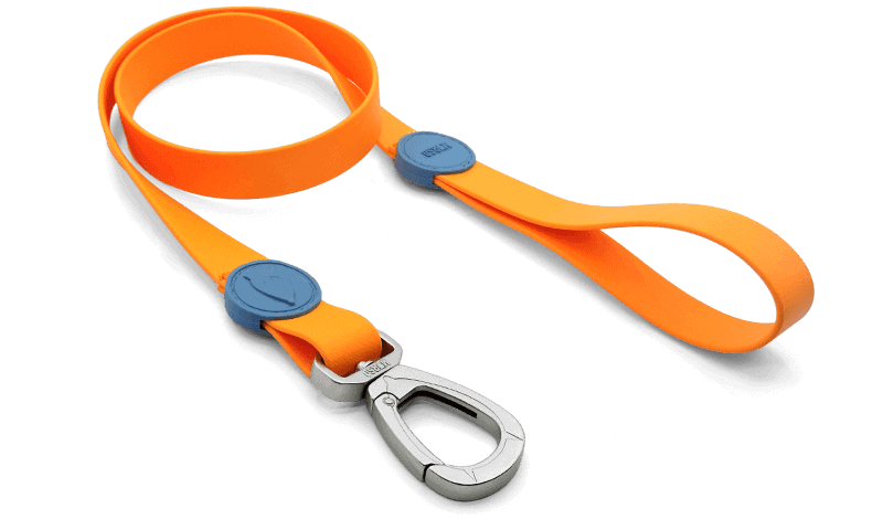 Morso - Guinzaglio Waterproof Orange per Cani - Animalmania Store