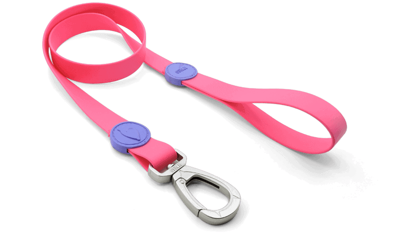 Morso - Guinzaglio Waterproof Passion Pink per Cani - Animalmania Store