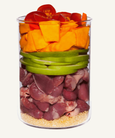 Terra Canis - Terra Canis Puppy Pollo Con Zucca, Camomilla E Polline Di Fiore - Animalmania Store